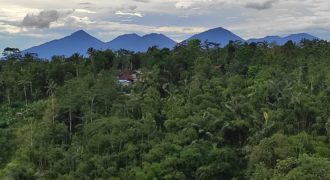 Tanah 1,7 Hectare Tegalalang Ubud