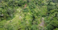 Tanah 5 Hectare View Cantik di Tegallalang Ubud