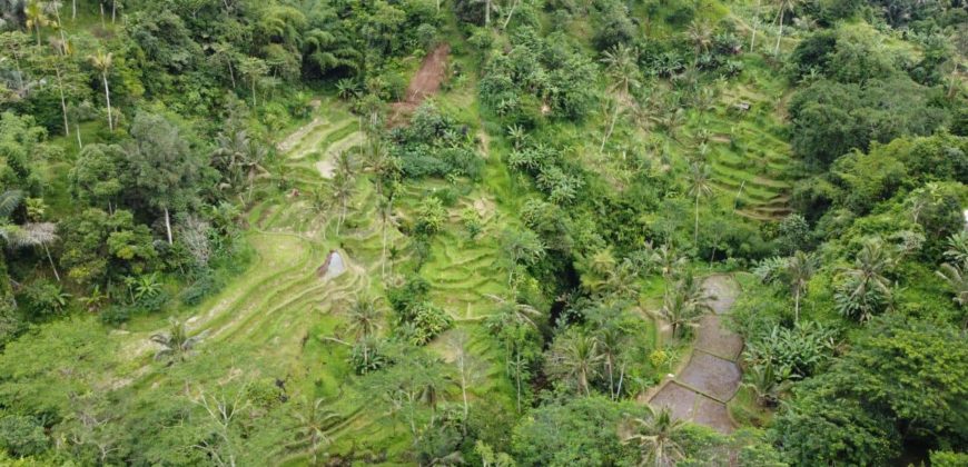 Tanah 5 Hectare View Cantik di Tegallalang Ubud