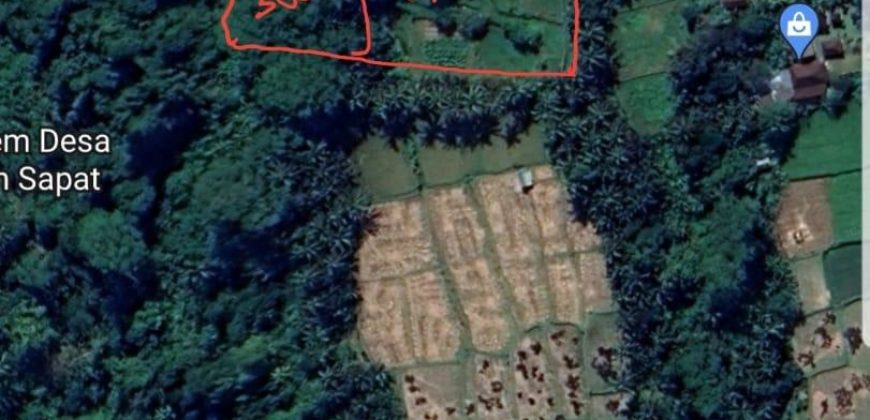 Tanah 1,93 Hectare View Ricefield and Jungle Kenderan Tegalalang Ubud