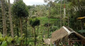 Tanah 10 Ara View River and Ricefield Near Alas Arum Tegalalang Ubud