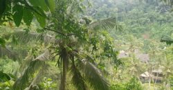 Tanah 80 Ara Ayung River Kedewatan Ubud