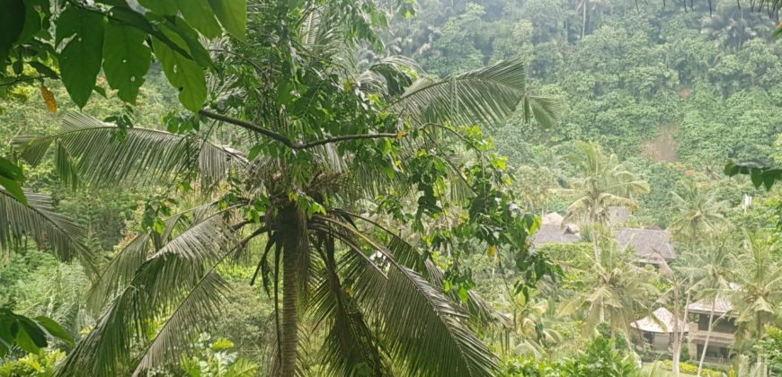 Tanah 80 Ara Ayung River Kedewatan Ubud