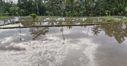 Tanah 15 Are View Ricefield Payangan Ubud