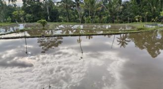 Tanah 15 Are View Ricefield Payangan Ubud