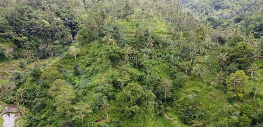 Tanah 5 Hectare View Cantik di Tegallalang Ubud