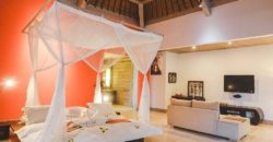 Hotel Villa and Spa Ubud