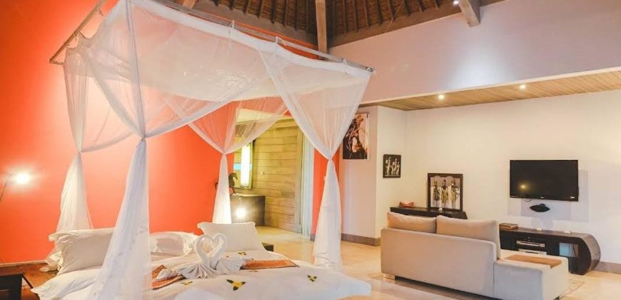 Hotel Villa and Spa Ubud