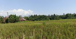 Tanah 4 Are View Gunung Agung dan Sawah di Kemenuh Ubud