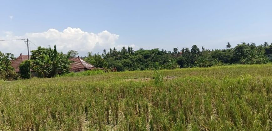 Tanah 4 Are View Gunung Agung dan Sawah di Kemenuh Ubud