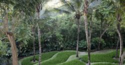 Hotel 5* at Ubud