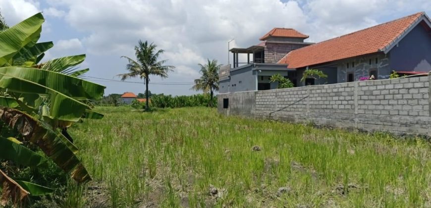 Tanah 4 Are View Gunung Agung dan Sawah di Kemenuh Ubud