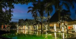 Hotel Villa and Spa Ubud