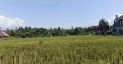 Tanah 4 Are View Gunung Agung dan Sawah di Kemenuh Ubud