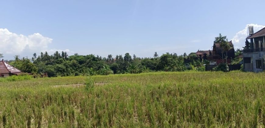 Tanah 4 Are View Gunung Agung dan Sawah di Kemenuh Ubud