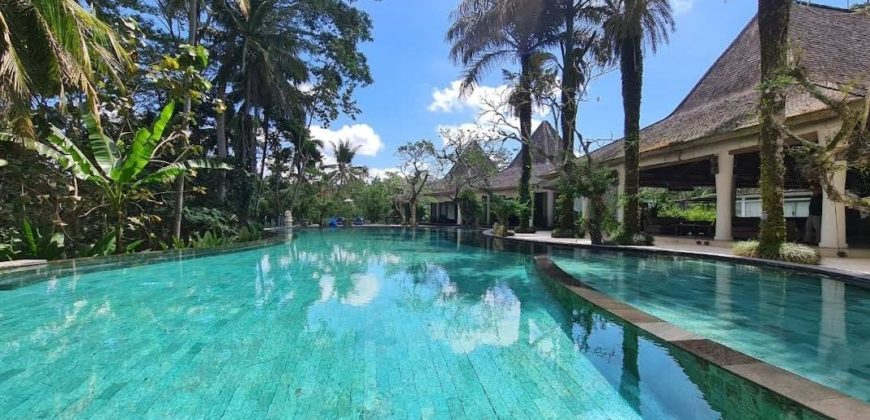 Hotel Villa and Spa Ubud