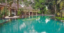 Hotel Villa and Spa Ubud