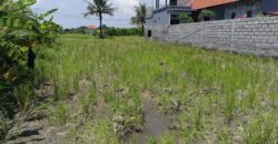 Tanah 4 Are View Gunung Agung dan Sawah di Kemenuh Ubud