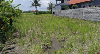 Tanah 4 Are View Gunung Agung dan Sawah di Kemenuh Ubud