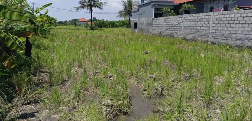 Tanah 4 Are View Gunung Agung dan Sawah di Kemenuh Ubud