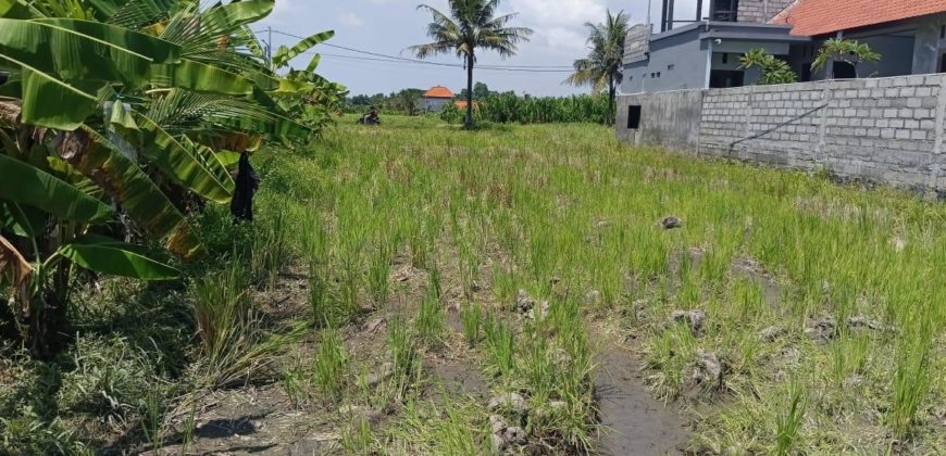 Tanah 4 Are View Gunung Agung dan Sawah di Kemenuh Ubud