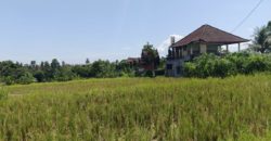 Tanah 4 Are View Gunung Agung dan Sawah di Kemenuh Ubud