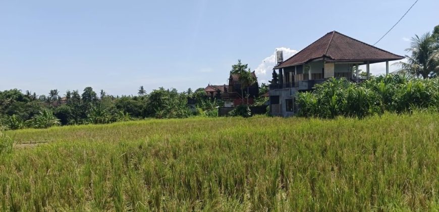 Tanah 4 Are View Gunung Agung dan Sawah di Kemenuh Ubud