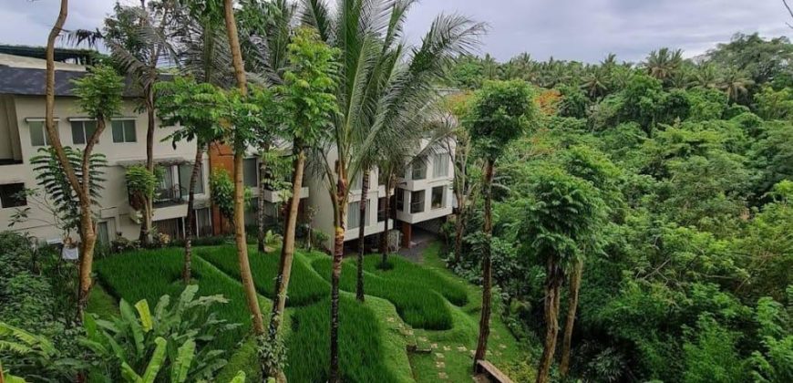 Hotel 5* at Ubud