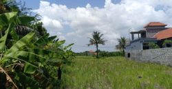 Tanah 4 Are View Gunung Agung dan Sawah di Kemenuh Ubud