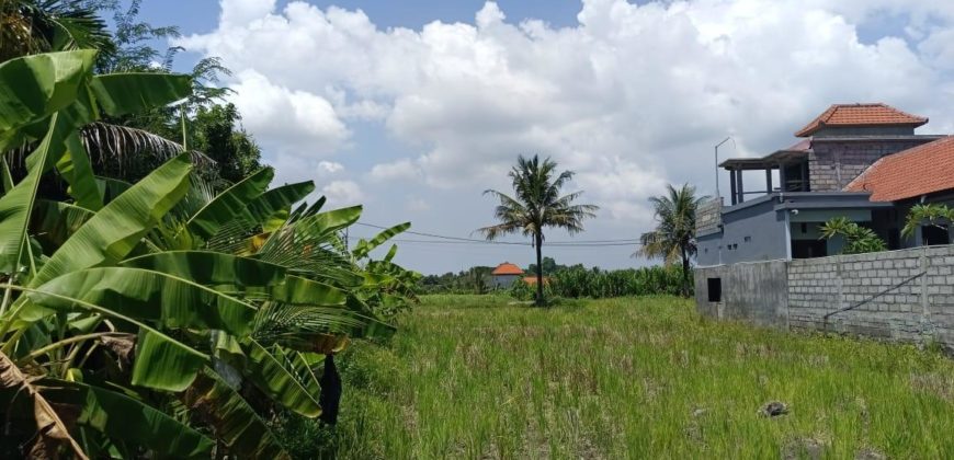 Tanah 4 Are View Gunung Agung dan Sawah di Kemenuh Ubud