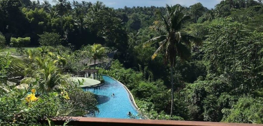 Hotel 5* at Ubud