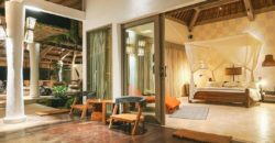 Hotel Villa and Spa Ubud