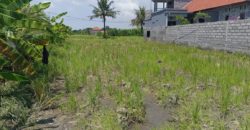 Tanah 4 Are View Gunung Agung dan Sawah di Kemenuh Ubud