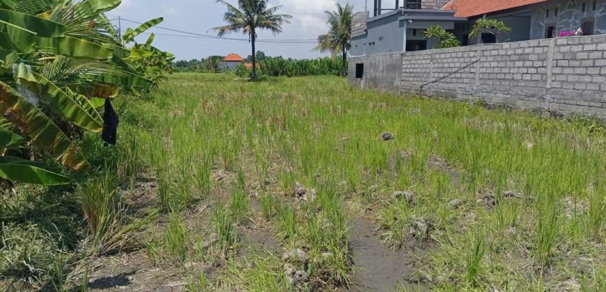 Tanah 4 Are View Gunung Agung dan Sawah di Kemenuh Ubud