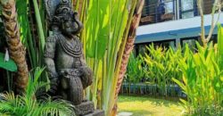 Hotel Villa and Spa Ubud