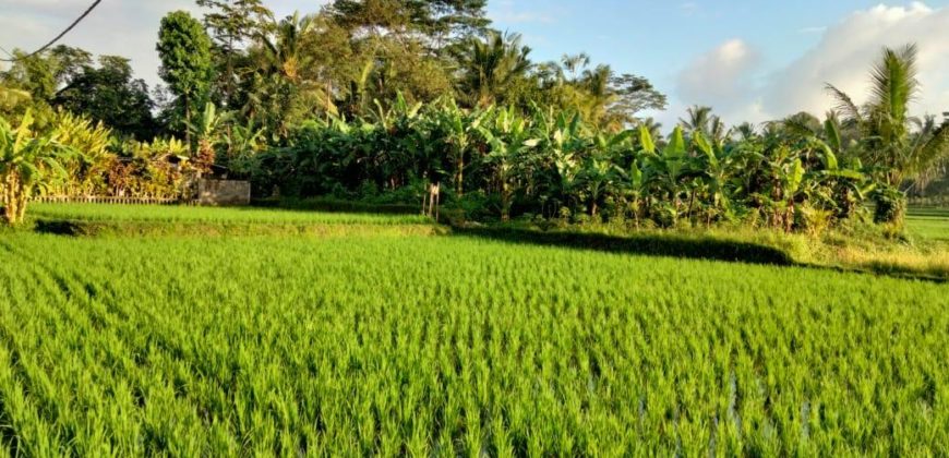 Villa 10 Ara di Penestanan Ubud