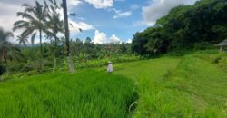 Tanah 19,5 Ara dekat Hanging Garden Hotel di Payangan