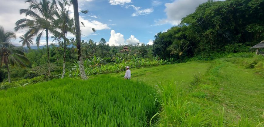 Tanah 19,5 Ara dekat Hanging Garden Hotel di Payangan