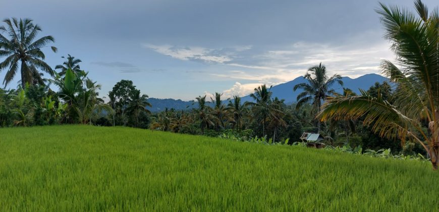 Tanah 19,5 Ara dekat Hanging Garden Hotel di Payangan