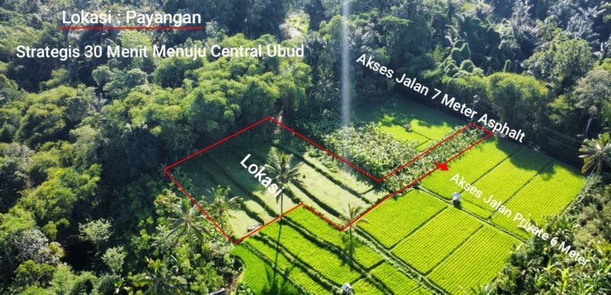 Tanah 19,5 Ara dekat Hanging Garden Hotel di Payangan