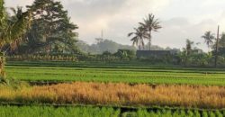 Villa 10 Ara di Penestanan Ubud