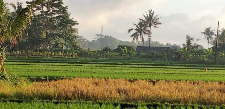 Villa 10 Ara di Penestanan Ubud