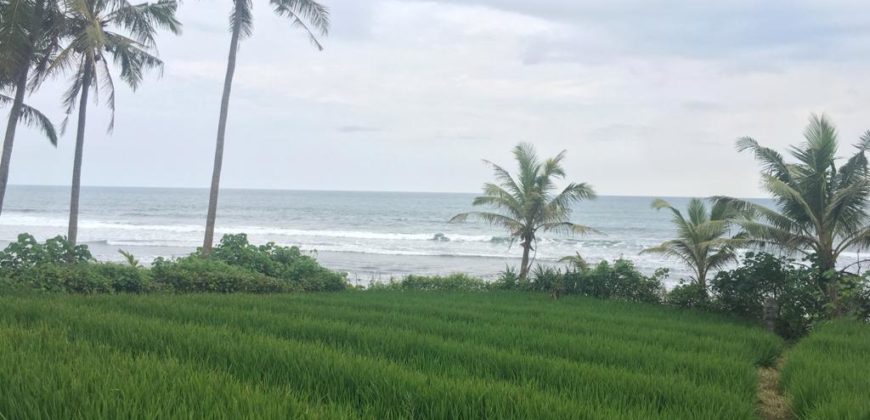 Tanah 2,5 Hectare Beach Front Yeh Gangga Tabanan Gianyar