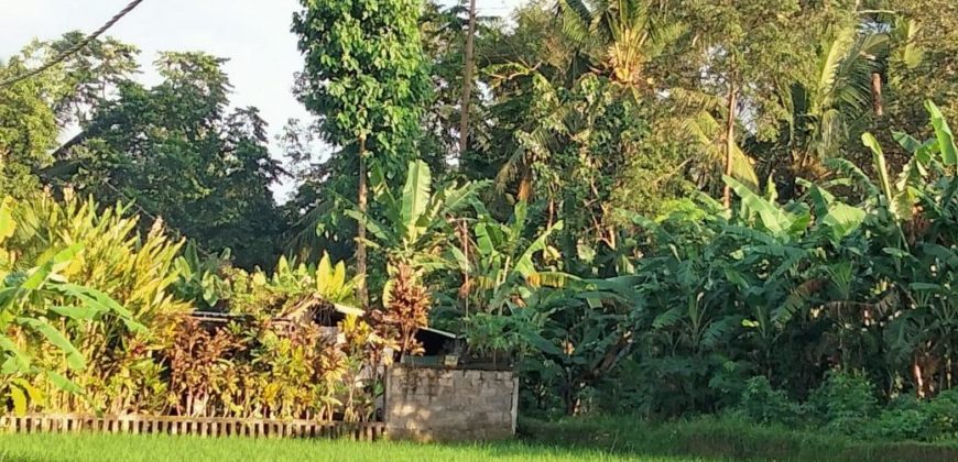 Villa 10 Ara di Penestanan Ubud