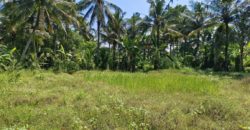 Tanah 45 Ara View Ricefield Ubud