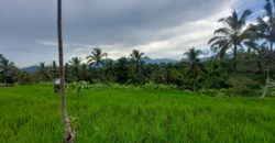 Tanah 19,5 Ara dekat Hanging Garden Hotel di Payangan