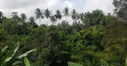 Tanah 1,2 Hectare Riverside and Waterfall View at Bedulu Pejeng Gianyar