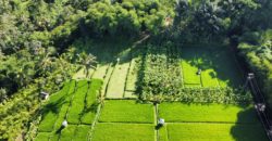 Tanah 19,5 Ara dekat Hanging Garden Hotel di Payangan