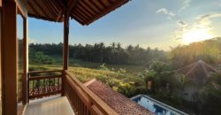 Villa View Ricefield di Singakerta Ubud