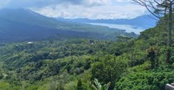 Tanah 2 Hectare View Mount Batur and Lake Batur Kintamani Penelokan Bangli
